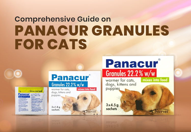 comprehensive-guide-on-panacur-granules-for-cats